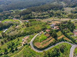 Terreno Rstico T1 - Santo Antnio da Serra, Santa Cruz, Ilha da Madeira - Miniatura: 24/30