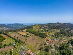 Terreno Rstico T1 - Santo Antnio da Serra, Santa Cruz, Ilha da Madeira - Miniatura: 29/30