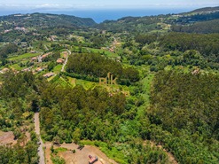 Terreno Rstico T0 - Santo Antnio da Serra, Santa Cruz, Ilha da Madeira - Miniatura: 10/29