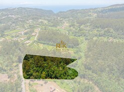 Terreno Rstico T0 - Santo Antnio da Serra, Santa Cruz, Ilha da Madeira - Miniatura: 11/29