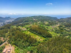 Terreno Rstico T0 - Santo Antnio da Serra, Santa Cruz, Ilha da Madeira - Miniatura: 12/29