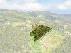 Terreno Rstico T0 - Santo Antnio da Serra, Santa Cruz, Ilha da Madeira - Miniatura: 18/29