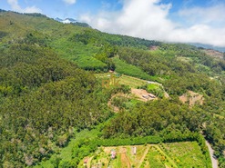 Terreno Rstico T0 - Santo Antnio da Serra, Santa Cruz, Ilha da Madeira - Miniatura: 19/29