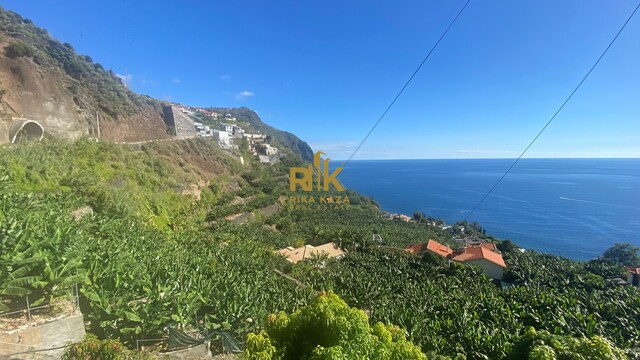 Terreno Rstico T0 - Arco da Calheta, Calheta (Madeira), Ilha da Madeira - Imagem grande