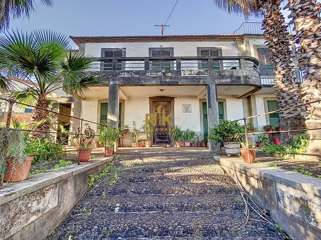 Quinta - São Roque, Funchal, Ilha da Madeira - Imagem grande