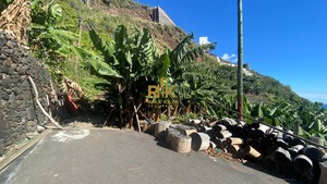 Terreno Rstico T0 - Arco da Calheta, Calheta (Madeira), Ilha da Madeira - Miniatura: 2/14