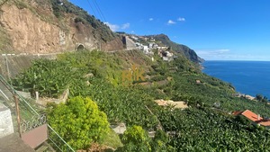 Terreno Rstico T0 - Arco da Calheta, Calheta (Madeira), Ilha da Madeira - Miniatura: 7/14