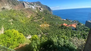 Terreno Rstico T0 - Arco da Calheta, Calheta (Madeira), Ilha da Madeira - Miniatura: 8/14