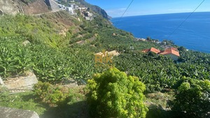 Terreno Rstico T0 - Arco da Calheta, Calheta (Madeira), Ilha da Madeira - Miniatura: 9/14