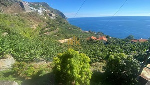 Terreno Rstico T0 - Arco da Calheta, Calheta (Madeira), Ilha da Madeira - Miniatura: 10/14