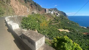 Terreno Rstico T0 - Arco da Calheta, Calheta (Madeira), Ilha da Madeira - Miniatura: 11/14