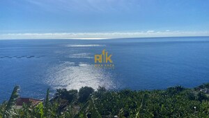 Terreno Rstico T0 - Arco da Calheta, Calheta (Madeira), Ilha da Madeira - Miniatura: 13/14