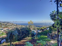 Quinta - So Roque, Funchal, Ilha da Madeira - Miniatura: 10/37