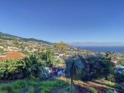 Quinta - So Roque, Funchal, Ilha da Madeira - Miniatura: 23/37