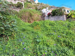 Terreno Rstico T0 - Campanario, Ribeira Brava, Ilha da Madeira - Miniatura: 4/16