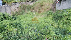 Terreno Rstico T0 - Campanario, Ribeira Brava, Ilha da Madeira - Miniatura: 5/16