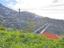 Terreno Rstico T0 - Campanario, Ribeira Brava, Ilha da Madeira - Miniatura: 6/16
