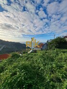 Terreno Rstico T0 - Campanario, Ribeira Brava, Ilha da Madeira - Miniatura: 7/16