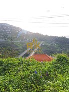 Terreno Rstico T0 - Campanario, Ribeira Brava, Ilha da Madeira - Miniatura: 8/16
