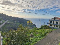 Terreno Rstico T0 - Campanario, Ribeira Brava, Ilha da Madeira - Miniatura: 9/16