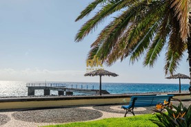 Moradia T4 - Santa Cruz, Santa Cruz, Ilha da Madeira - Miniatura: 57/66