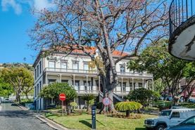 Moradia T4 - Santa Cruz, Santa Cruz, Ilha da Madeira - Miniatura: 65/66