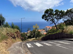 Loja T0 - Canio, Santa Cruz, Ilha da Madeira - Miniatura: 5/13