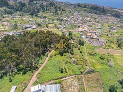 Terreno Rstico T0 - Canhas, Ponta do Sol, Ilha da Madeira - Miniatura: 12/18