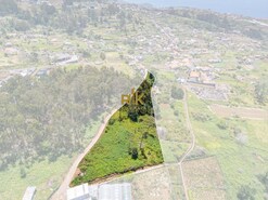 Terreno Rstico T0 - Canhas, Ponta do Sol, Ilha da Madeira - Miniatura: 13/18