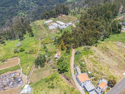 Terreno Rstico T0 - Canhas, Ponta do Sol, Ilha da Madeira - Miniatura: 14/18