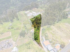 Terreno Rstico T0 - Canhas, Ponta do Sol, Ilha da Madeira - Miniatura: 15/18