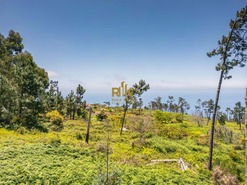 Terreno Rstico T0 - Canhas, Ponta do Sol, Ilha da Madeira - Miniatura: 16/18