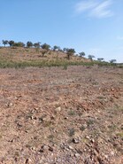 Terreno Rstico T0 - Ourique, Ourique, Beja - Miniatura: 4/11