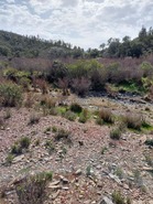 Terreno Rstico T0 - Ourique, Ourique, Beja - Miniatura: 8/11