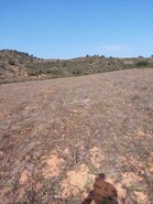 Terreno Rstico T0 - Ourique, Ourique, Beja - Miniatura: 9/11