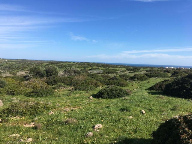 Terreno Rstico T0 - Vila do Bispo, Vila do Bispo, Faro (Algarve) - Imagem grande