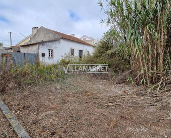 Ruina T3 - Moita dos Ferreiros, Lourinh, Lisboa - Imagem grande