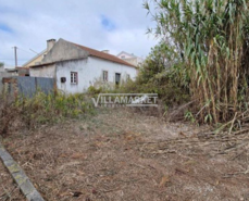 Ruina T3 - Moita dos Ferreiros, Lourinhã, Lisboa