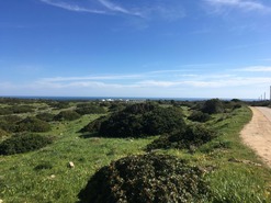 Terreno Rstico T0 - Vila do Bispo, Vila do Bispo, Faro (Algarve) - Miniatura: 9/14