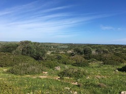 Terreno Rstico T0 - Vila do Bispo, Vila do Bispo, Faro (Algarve) - Miniatura: 11/14