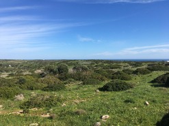 Terreno Rstico T0 - Vila do Bispo, Vila do Bispo, Faro (Algarve) - Miniatura: 12/14