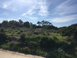 Terreno Rstico T0 - Vila do Bispo, Vila do Bispo, Faro (Algarve) - Miniatura: 13/14