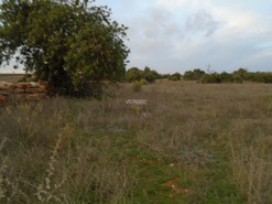 Terreno Rstico T0 - Tavira, Tavira, Faro (Algarve) - Miniatura: 6/38