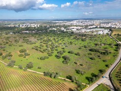 Terreno Rstico T0 - Tavira, Tavira, Faro (Algarve) - Miniatura: 22/38