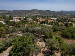 Moradia T5 - So Brs de Alportel, So Brs de Alportel, Faro (Algarve) - Miniatura: 17/50
