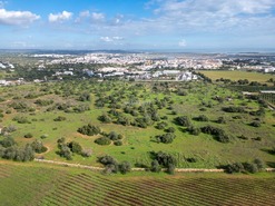 Terreno R�stico T0 - Tavira, Tavira, Faro (Algarve) - Miniatura: 3/38