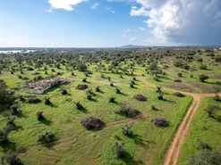 Terreno R�stico T0 - Tavira, Tavira, Faro (Algarve) - Miniatura: 10/38