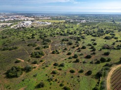 Terreno R�stico T0 - Tavira, Tavira, Faro (Algarve) - Miniatura: 18/38