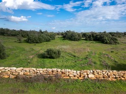 Terreno R�stico T0 - Tavira, Tavira, Faro (Algarve) - Miniatura: 20/38