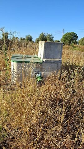 Terreno R�stico T0 - Ferreira do Alentejo, Ferreira do Alentejo, Beja - Imagem grande